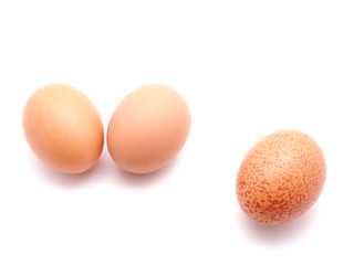 egg on a white background