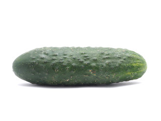 cucumber on a white background