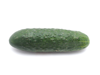 cucumber on a white background