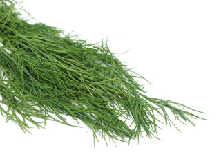 dill on a white background