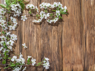 Blooming cherry twig over old wooden table.