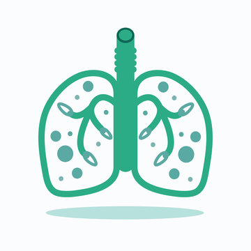 Healthy lungs.vector,illustration.
