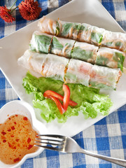 Spicy spring rolls with vegetables and sauce. Thai food