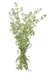 Twigs of herb thyme isolated on white background 