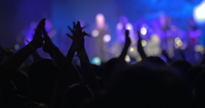 Performing singer and his excited fans
