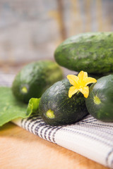 cucumber with flowers