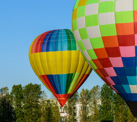 Obraz premium Colorful Hot Air Balloons prepare for flight