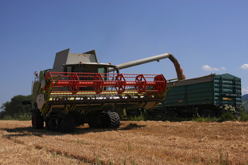 Obraz premium Mähdrescher