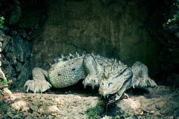 crocodile decoration