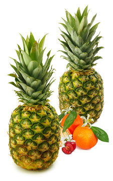  pineapple and fruit