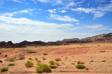 Naklejka premium Timna park, Israel