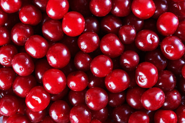 background of cherry