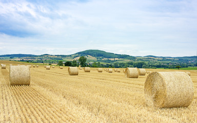 Fototapeta premium paysage agricole avec paille en balles rondes