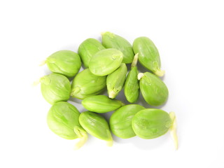 Bitter bean, Twisted cluster bean, Stink bean on white background