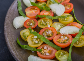 Colorful tomato salad with onion