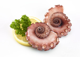 Pulpo