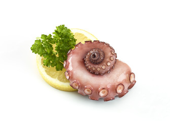 Pulpo