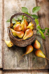 Ripe pears in a basket 