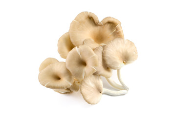 Mushrooms