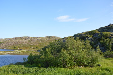 Лето на Крайнем Севере