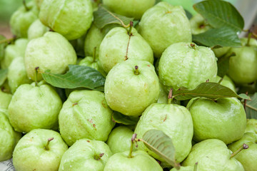 fresh guava fruit