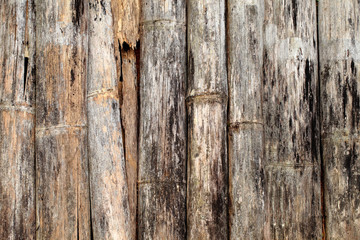 Old bamboo wall texture 