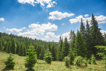 mountain ridge covered with green grass