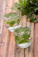 Infused fresh fruit water of mint leaf