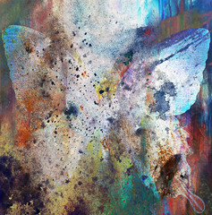  illustration color butterfly, mixed medium, white backgro