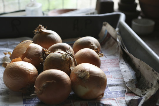 Onions in paper-lined tray