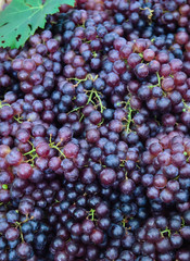 red grapes background