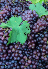 red grapes background