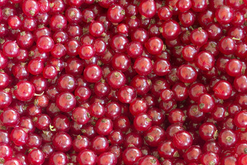 red currants without stems as a background