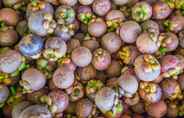Mangosteen background