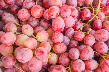 red grapes background