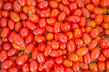 Group of fresh tomatoes