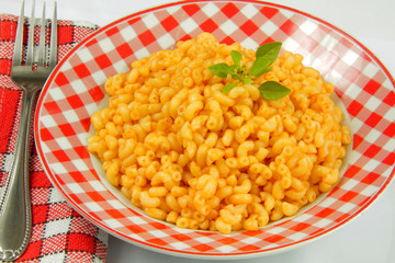 coquillettes 21072015