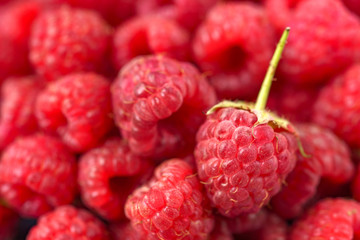 Sweet red raspberry as a background