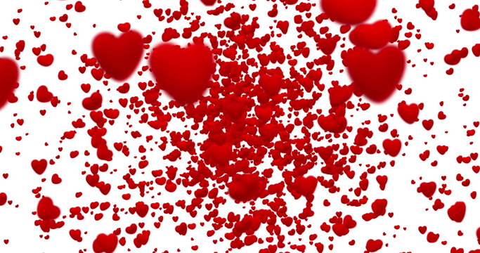 digital red hearts flying in vortex on white background with fade out, loop seamless. 4K and 1080 resolution. Valentine day love festive