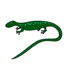 Obraz premium green doodle lizard