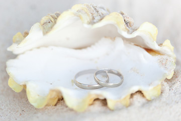 Romantic tropical scene on beach