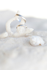 Romantic tropical scene on beach