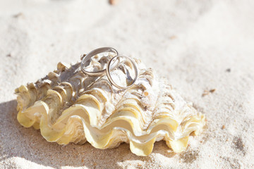 Romantic tropical scene on beach