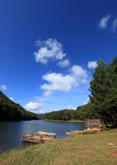 Obraz premium Pang Ung Forestry Plantations, Maehongson, North of Thailand