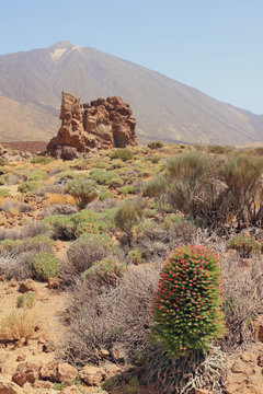 Las Ca&ntilde;adas caldera. Teide, Tenerife, Spain