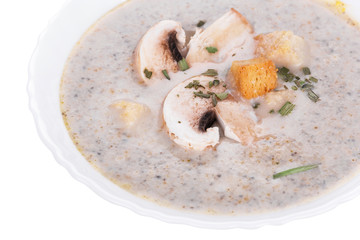 Mushrooms cream soup with agaric