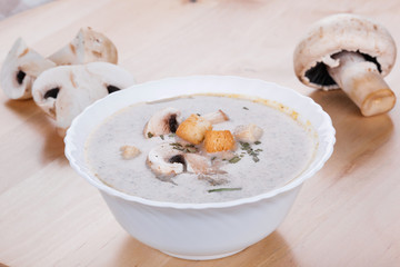 Mushrooms cream soup with agaric