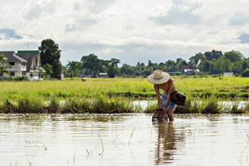 Fototapeta na wymiar Young agriculturist fishing in swamp by coop