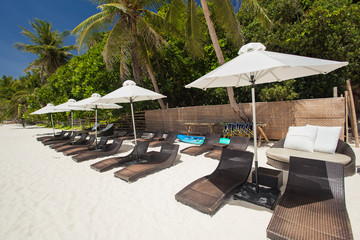 Sun umbrellas and beach chairs on coastline