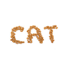 Food for cat
